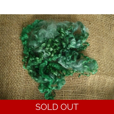 Forest Green Teeswater Curly wool, 10g (v) Forest Green Teeswater Curly wool, 10g (v)